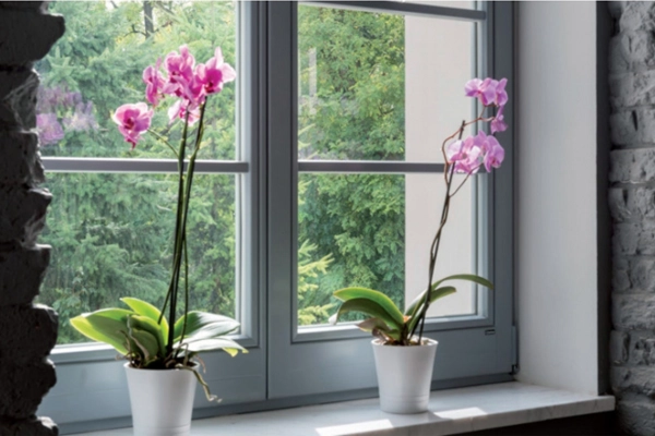 Warum beschlagen Fenster von innen?