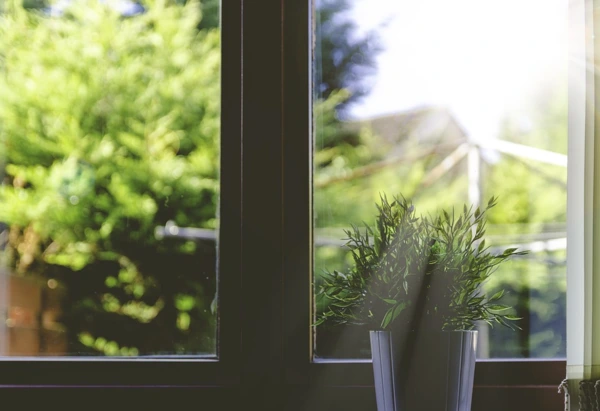 Wie oft sollte man die Fenster putzen?
